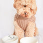 Pet Bowl Co Marble Ceramic Bowl with Bamboo Stand