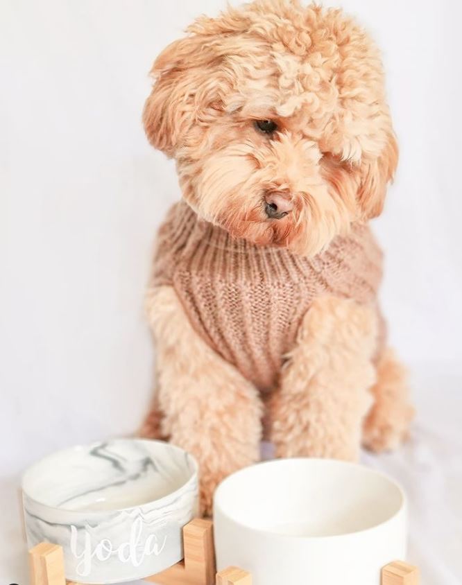 Pet Bowl Co Marble Ceramic Bowl with Bamboo Stand